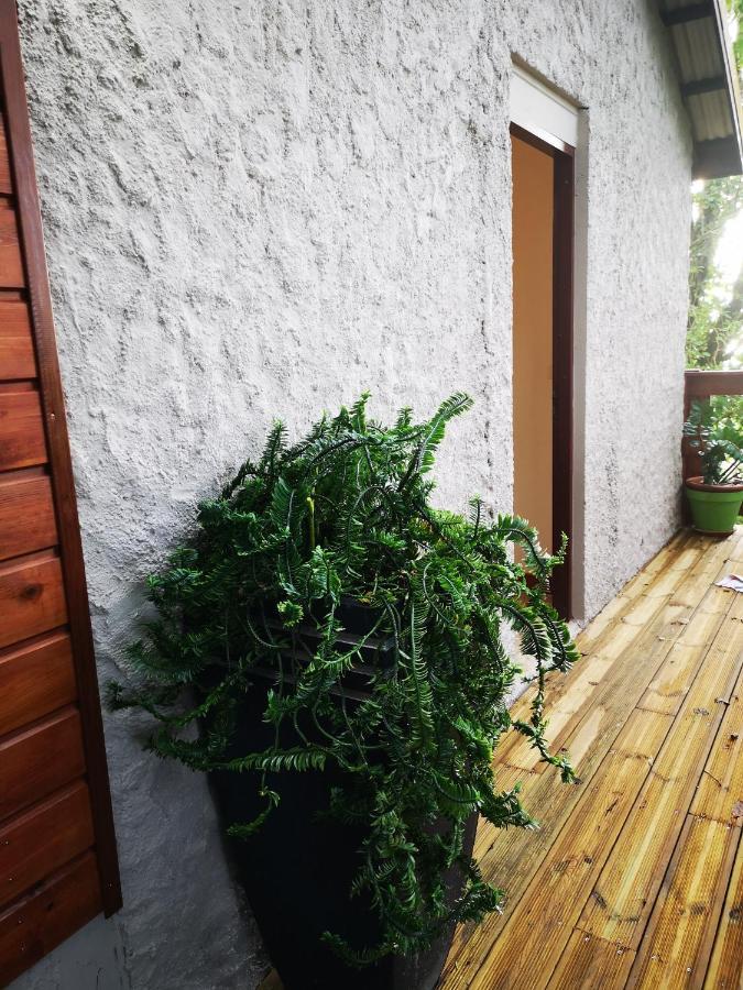 Bungalow Maelie La Trinité Exterior foto